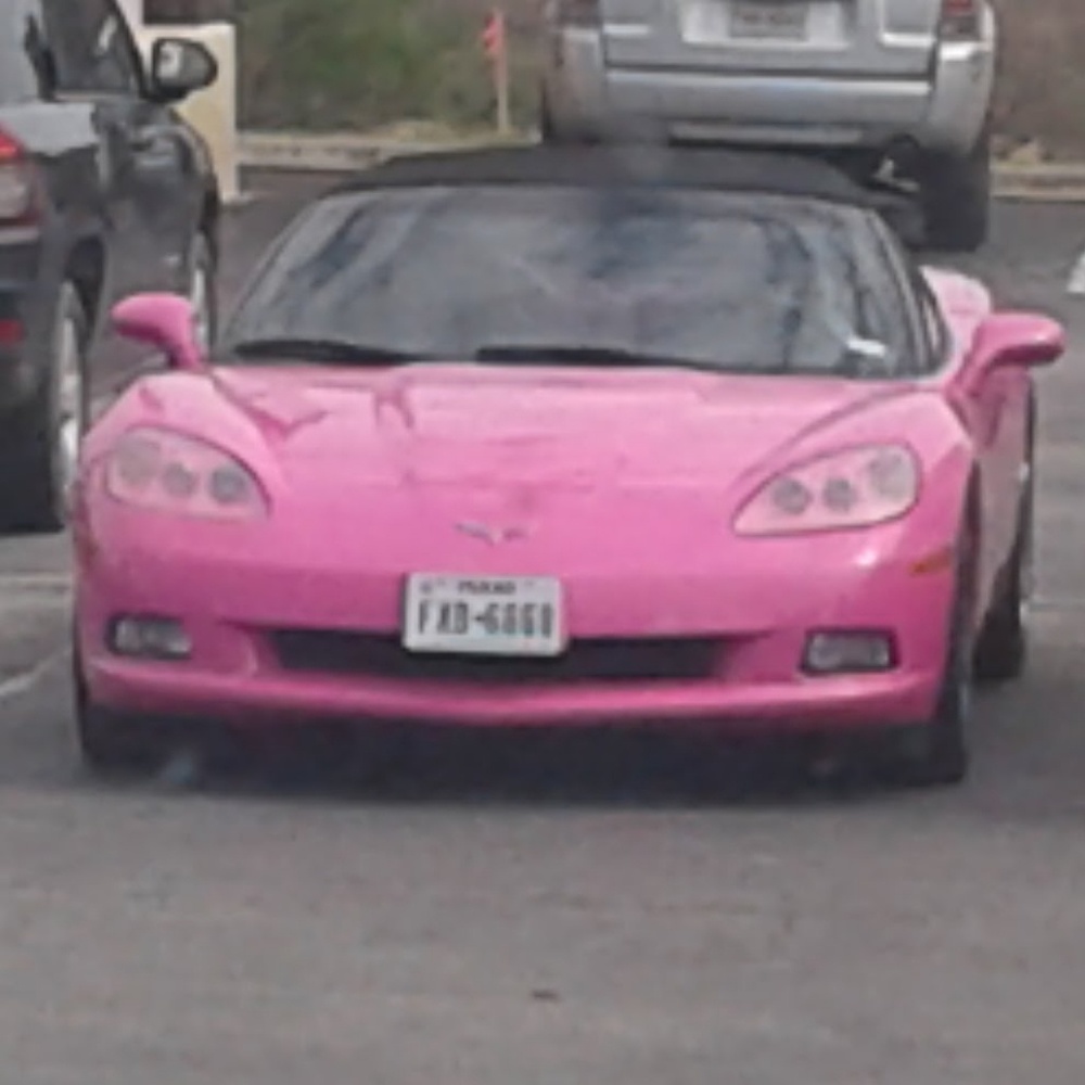 Meet your Posher, Patricia